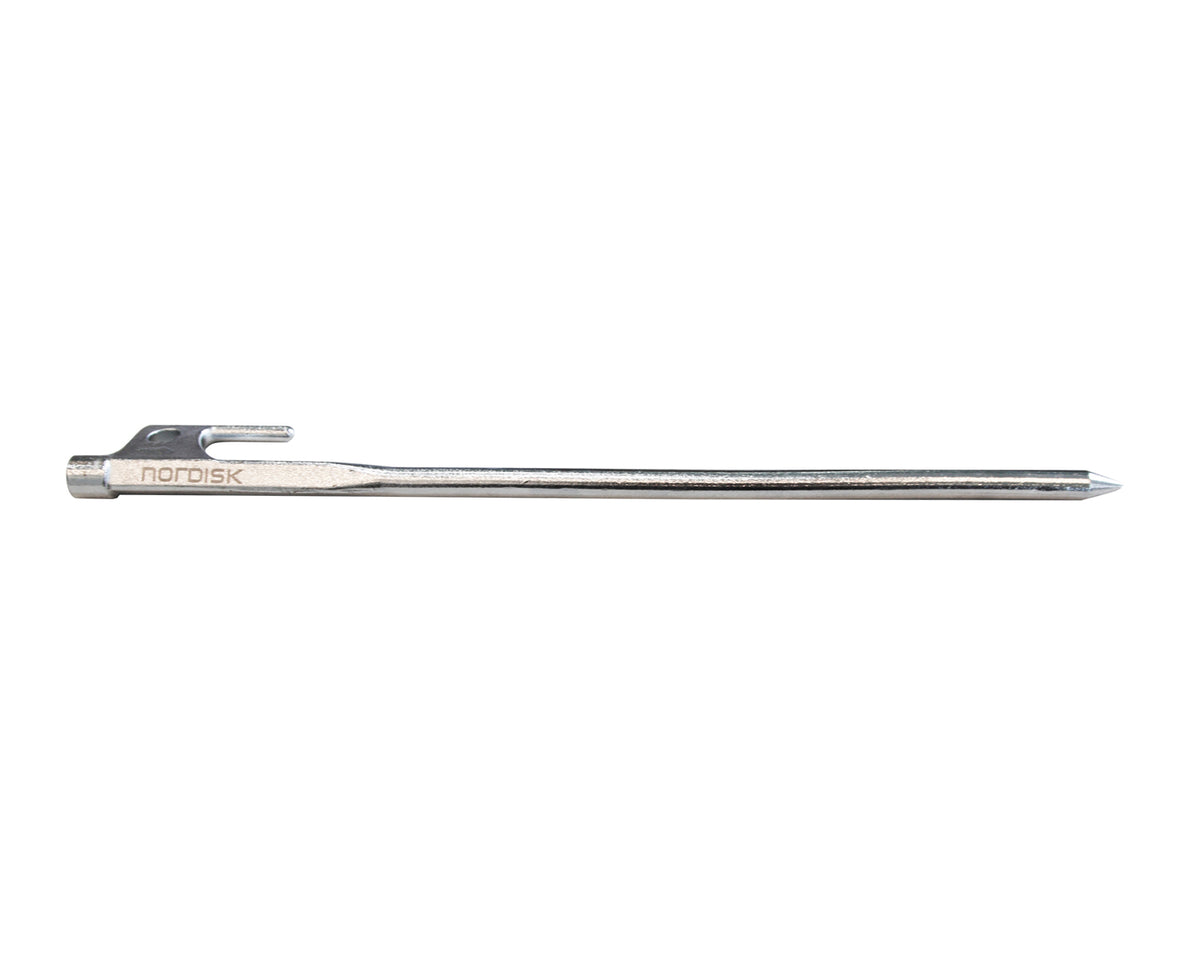 Stainless Steel Nail 20 cm (6 pcs)