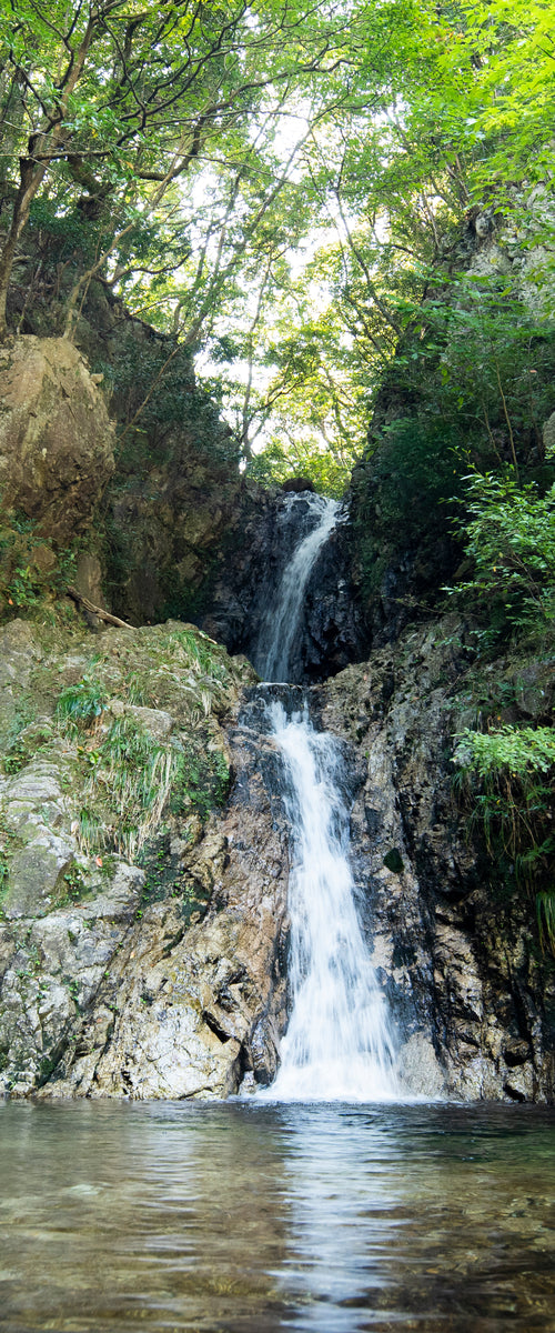 Scenic waterfall surrounded by lush green trees at Nordisk Hygge Circles Ugakei in Japan.